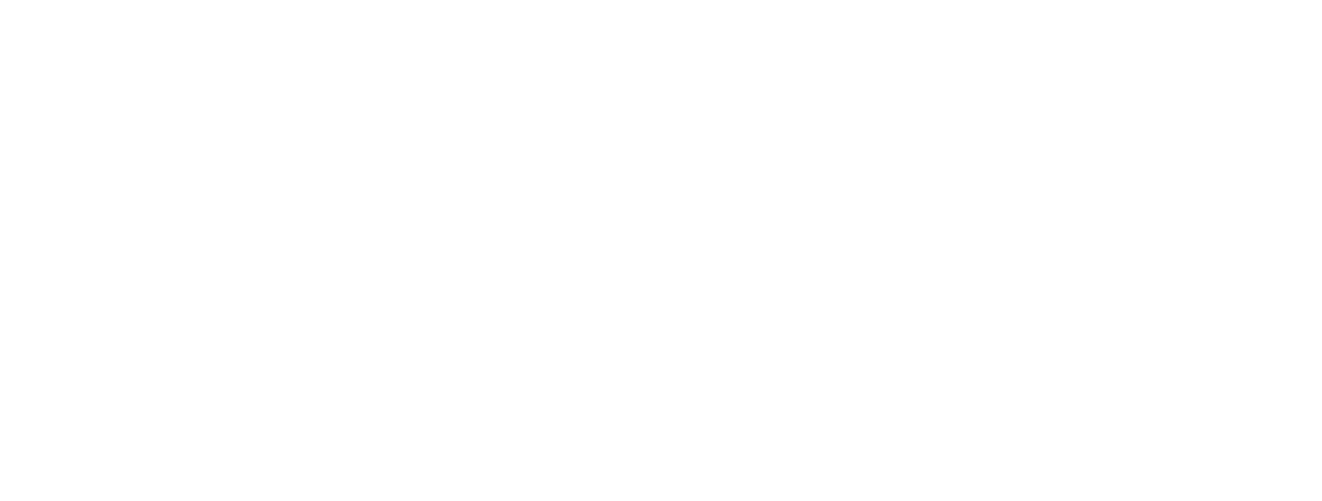 SRTM Meeting Logo